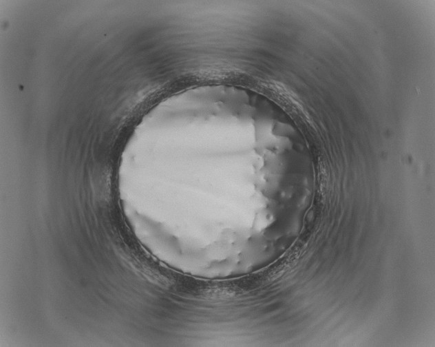 X0000072510596200608041508