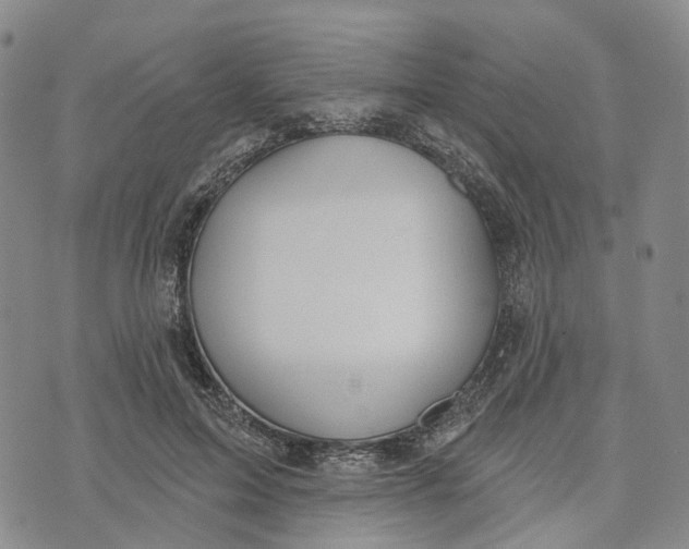 X0000072510599200608041508