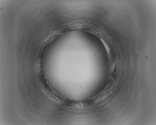 X0000072510600200608041508