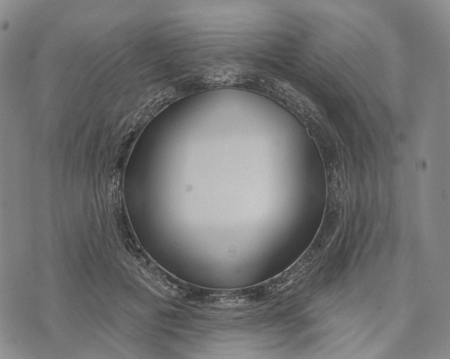 X0000072510601200608041508