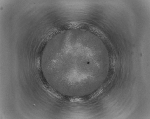 X0000072510602200608041508