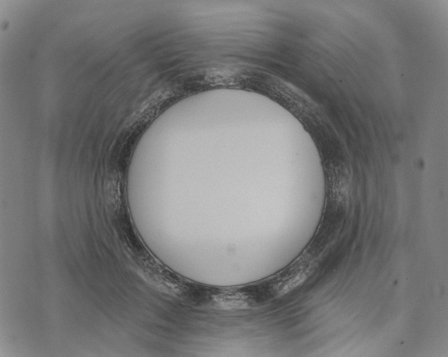 X0000072510603200608041508