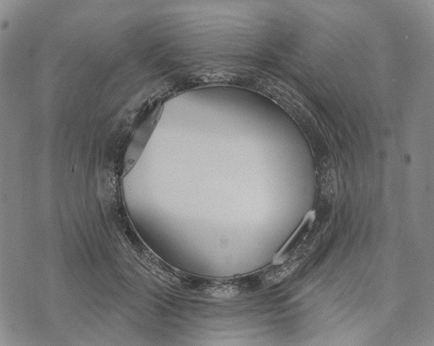 X0000072510604200608041508