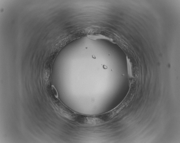 X0000072510605200608041508