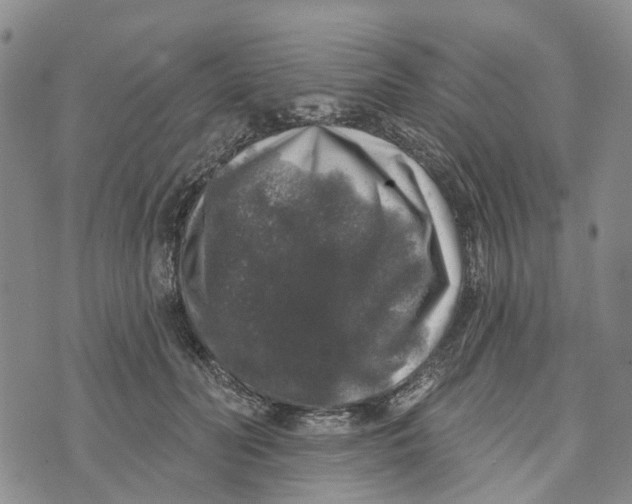 X0000072510606200608041508