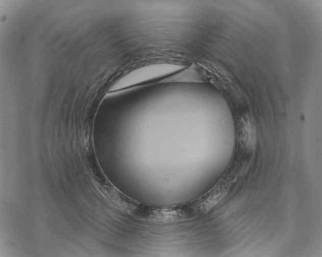 X0000072510607200608041508