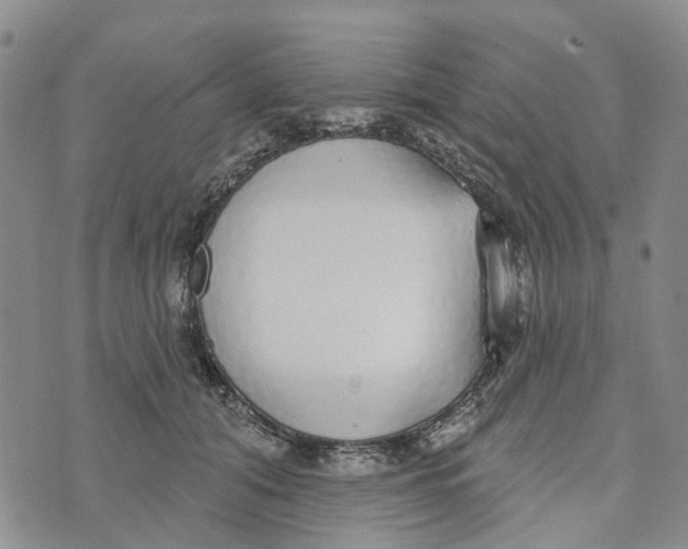 X0000072510608200608041508