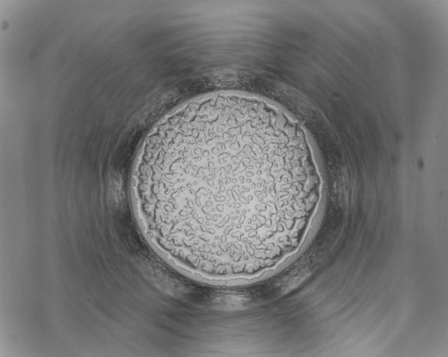 X0000072510610200608041508