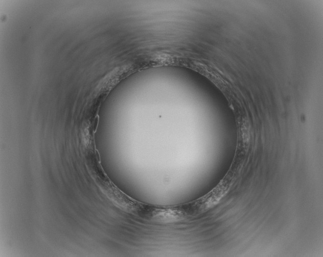 X0000072510611200608041508