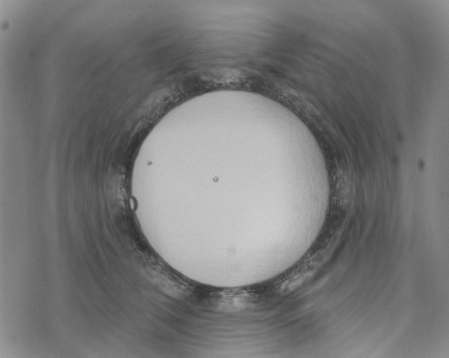 X0000072510612200608041508