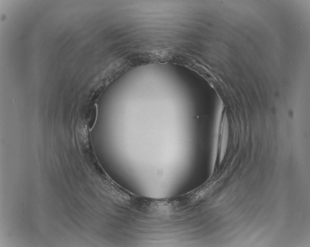 X0000072510613200608041508