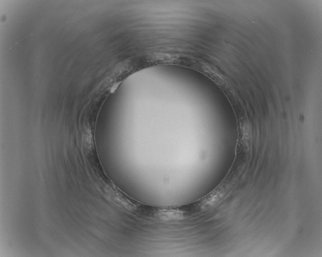 X0000072510617200608041508