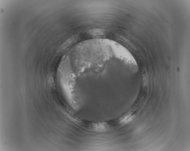 X0000072510618200608041508