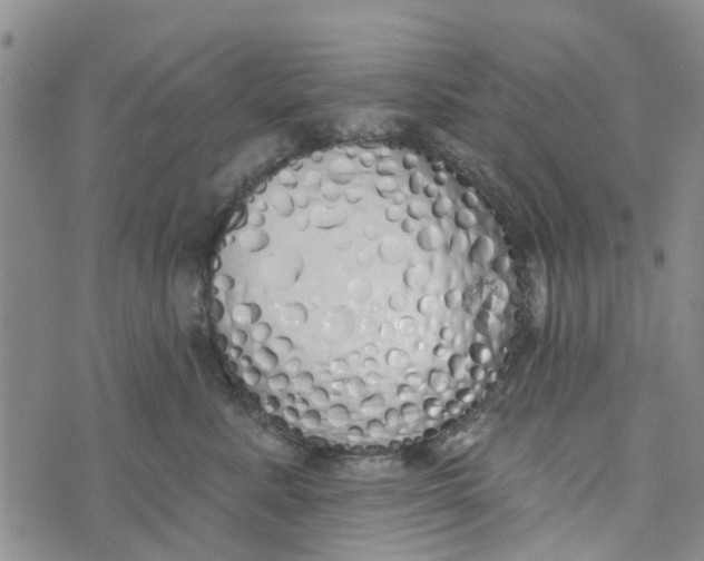 X0000072510619200608041508