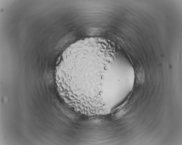 X0000072510620200608041508