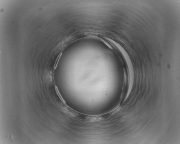 X0000072510621200608041508