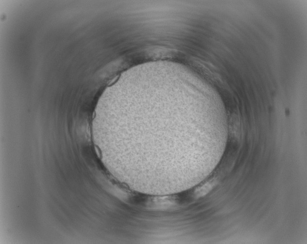 X0000072510622200608041508