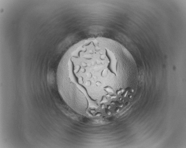 X0000072510623200608041508