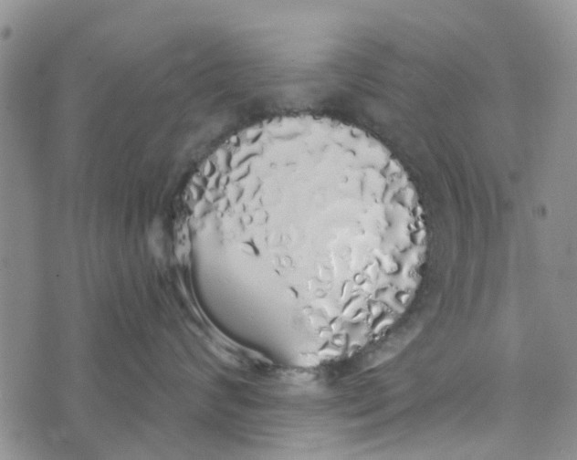 X0000072510624200608041508