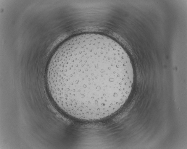 X0000072510625200608041507