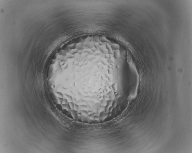 X0000072510626200608041507