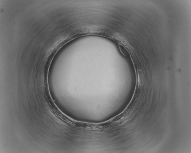 X0000072510627200608041507