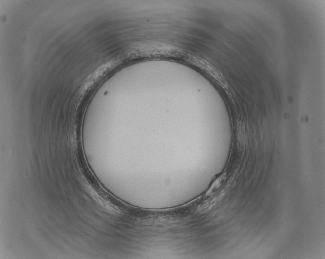 X0000072510629200608041507