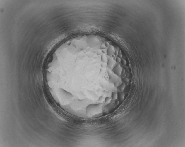 X0000072510630200608041507