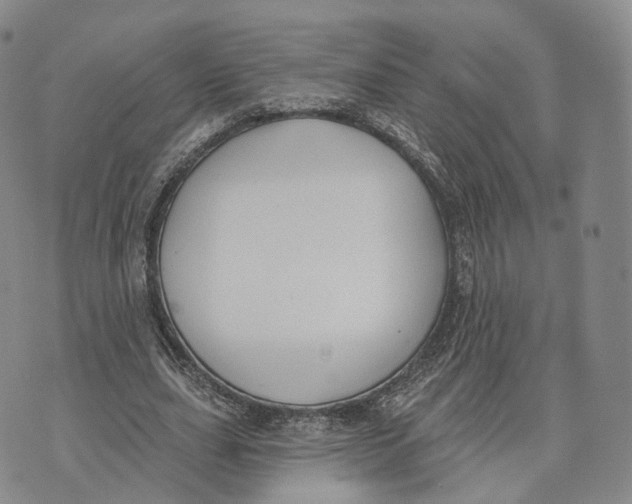 X0000072510631200608041507