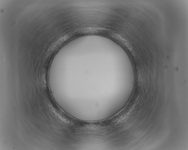 X0000072510633200608041507