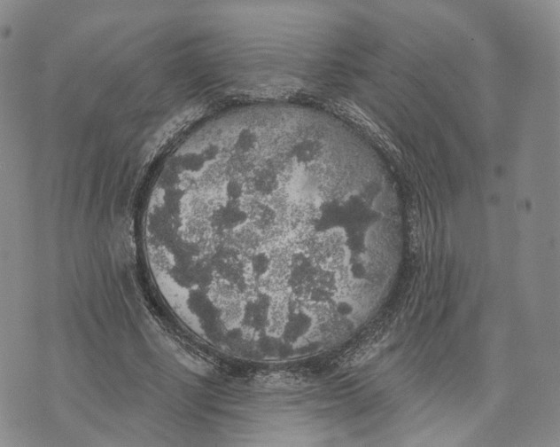 X0000072510634200608041507