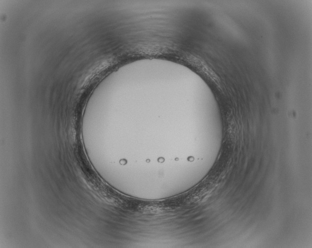 X0000072510635200608041507