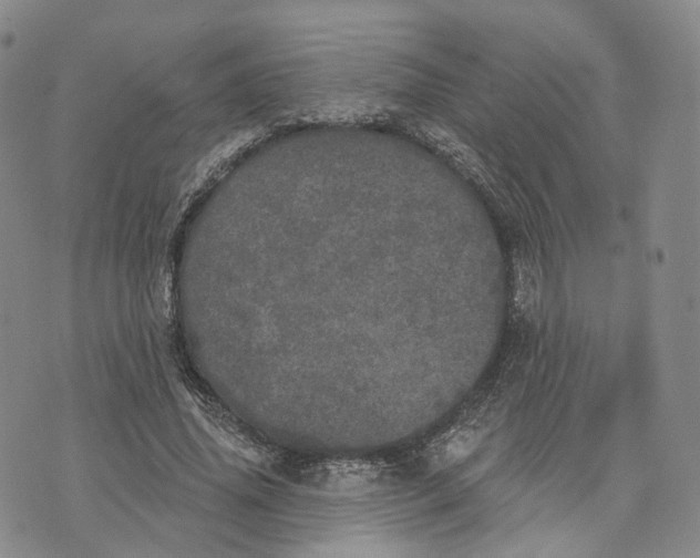 X0000072510636200608041507