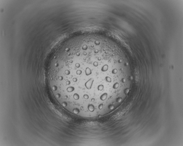 X0000072510637200608041507