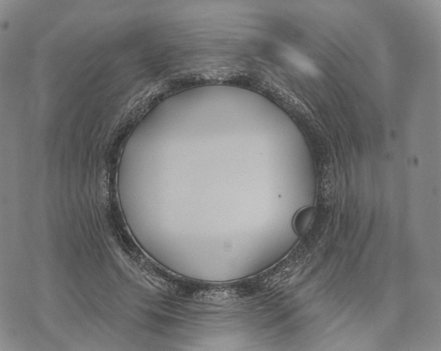 X0000072510639200608041507