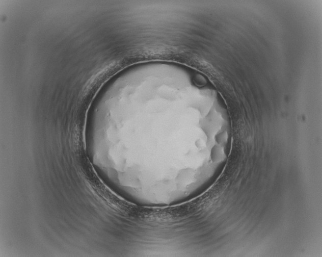 X0000072510640200608041507