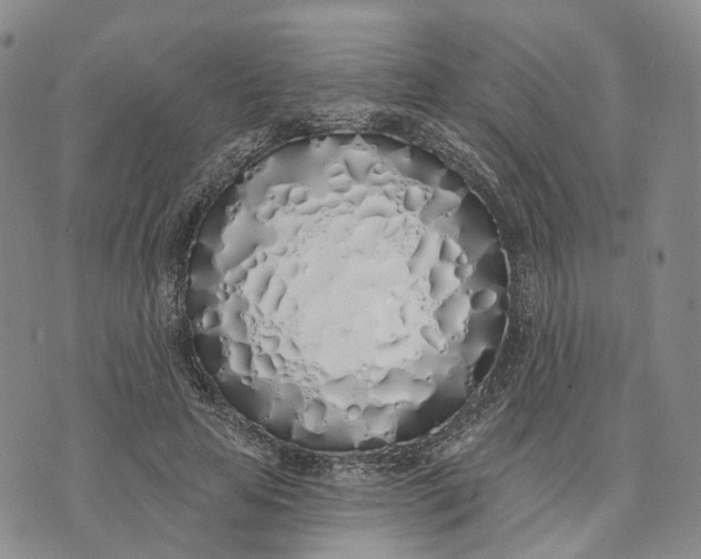 X0000072510641200608041507