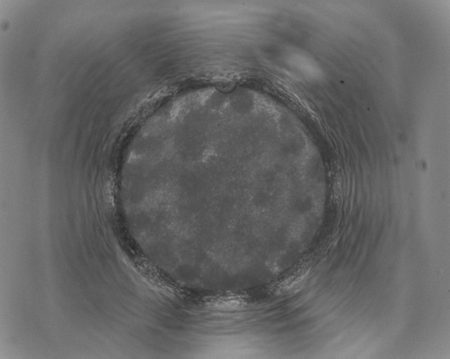 X0000072510643200608041507