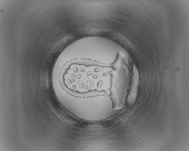 X0000072510644200608041507