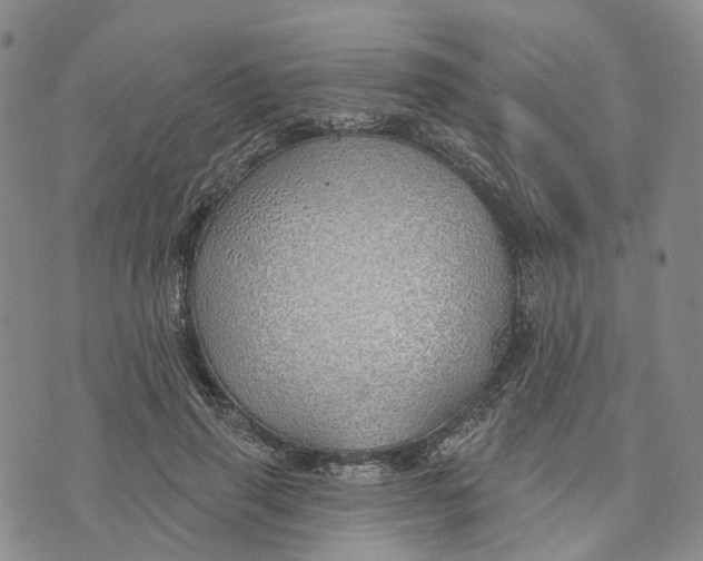 X0000072510645200608041507