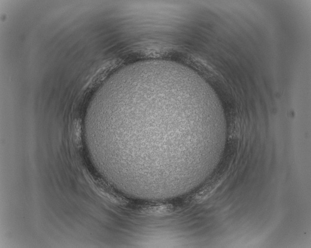 X0000072510646200608041507