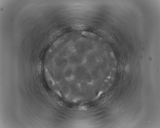 X0000072510647200608041507