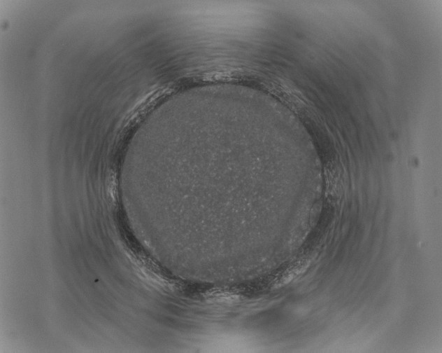 X0000072510648200608041507