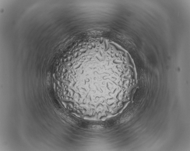 X0000072510649200608041507