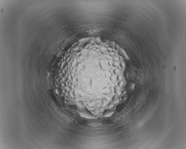 X0000072510650200608041507