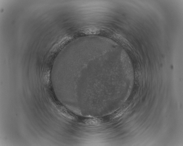 X0000072510652200608041507