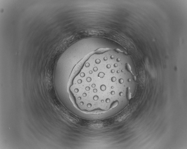 X0000072510653200608041507