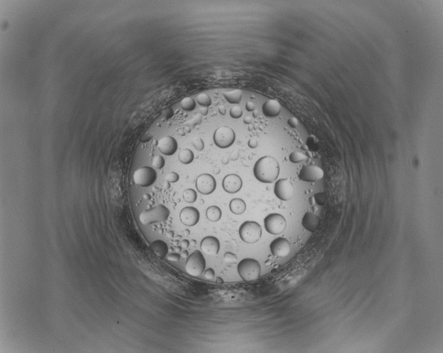 X0000072510654200608041507