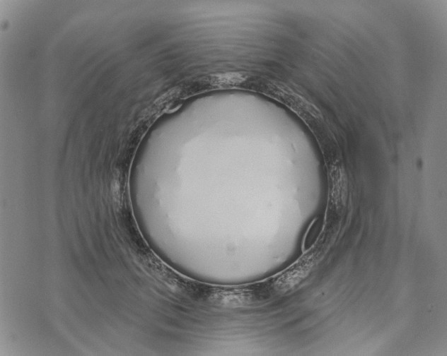 X0000072510655200608041507