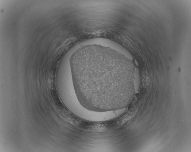 X0000072510656200608041507